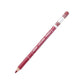 Colorful Natural Matte Wood Lip Liner Pen Waterproof Long Lasting Lipstick Pencil Contour Lady Charming Women's Cosmetic Tool