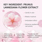 Long Lasting Makeup Setting Spray Sakura Face Mist Oil Control Waterproof Moisturizing Quick Fixer Non Sticky Dewy Finisher
