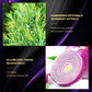 Hair Shampoo For Fast Hair Growth Rosemary Onion Hair Regrowth Shampoo Anti Hair Loss Effective Within 7 Day Hair Care Spray