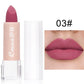 15 Color Lipstick Waterproof Long Lasting Matte Velvet Sexy Red Beauty Lip Gloss Nude Glitter Lip Gloss Rich Red Lip Tint Makeup