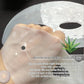 1/4/10PCs Bio Collagen Face Mask Shrink Pores Deep Hydrating Overnight Mask Moisturizing Refreshing Brightening Face Skin Care