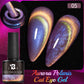AWStorG 7.5ml Starlit Cat Magnetic Gel Nail Polish Must need Black Gel-Polaris Light Soak Off UV Gel Varnis Semi Permanent DIY