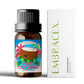 17 typle Gourmet Essential Oils Perfumes Fragrance Is Long-Lasting For Skin、Diffusers、Candles Making Gifts For Women