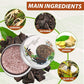Polygonum Soap Hair Darkening Shampoo Bar Women Men Hair Solid Ginger Shampoo Whitening Soap Various Styles of Soap Bar Hair