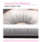 AGUUD 2D Y Lashes Extension Premade Voume Fans Faux Mink Eyelashes Premium Mesh Net Cross Lash Single Tips 2D Y Shaped Eyelashes