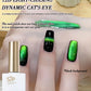12d cat eye gel nail polish, magnetic gel nail polish kit, color changing holographic glitter effect, suitable for Halloween