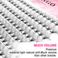 CoMango Wispy Pointy Base Premade Russian Volume Fans 3D 6D 10D 12D 14D 16D Lashes Extension 300 Fans False Mink Eyelashes