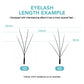 NATUHANA Camellia W Lashes 3D 4D 5D Wispy Volume Fans Eyelash Extensions C D L LU Curl Soft Lightweight Natural False Lashes