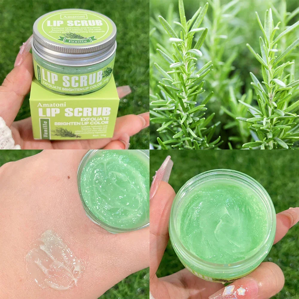 Fruit Flavor Exfoliating Lip Care Scrub Moisturizing Remove Dead Skin Lip Mask Nourishing Repair Lips Fine Lines Lips Care Cream