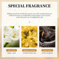SADOER Collagen Hand Cream Hands Skin Friming skincare Moisturizing Brightening Hydrating Hands Creams Hand Skin Care Products