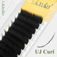 LAKANAKU UB UC UJ Curl Camellia Lashes with Adhesive Eyelash Extensions Russian Volume Fans Fluffy Lashes Premade Fan Lashes