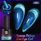 7.5ML Pink Blue Nail Gel Cat eye Semi Permanent Nail Art Soaking UV LED Nail Salon DIY Nail Salon Gel For Autumn And Winter