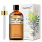 PHATOIL 100ml Eucalyptus Essential Oil For Skin Lavender Vanilla Jasmine Lemon Bergamot Aroma Oil for Aromatherapy Candle Making